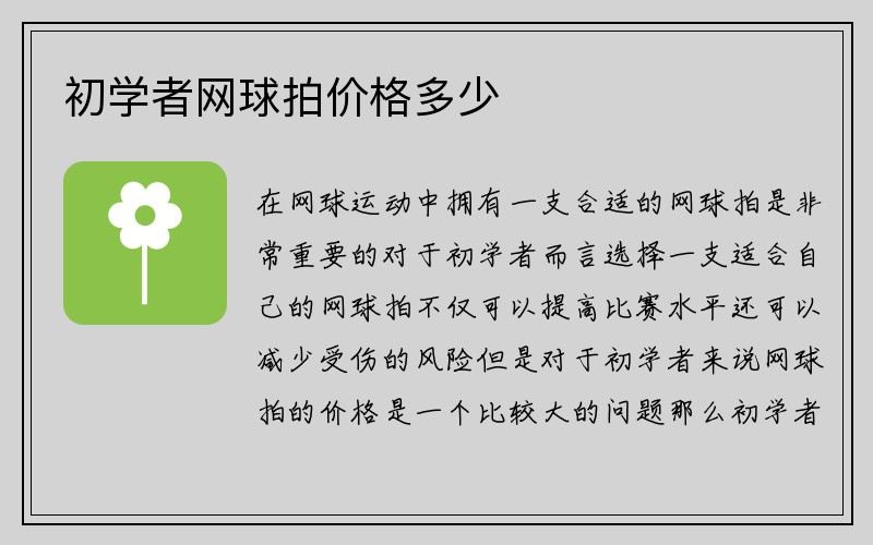 初学者网球拍价格多少