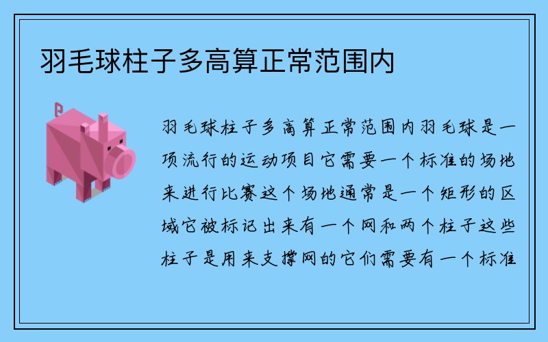 羽毛球柱子多高算正常范围内