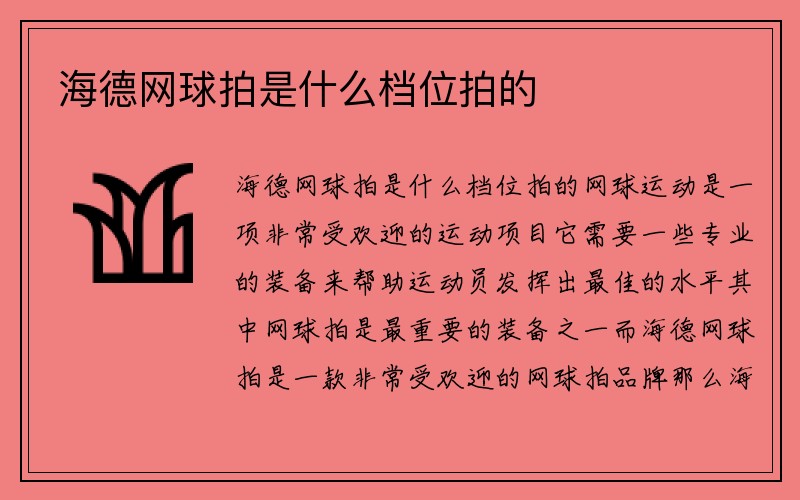 海德网球拍是什么档位拍的